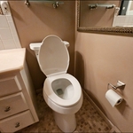 Toilet upgrades