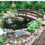 Koi Pond Enlargement