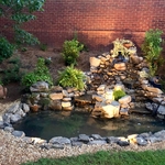 New Construction Koi Pond