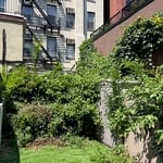 Backyard BEFORE 1