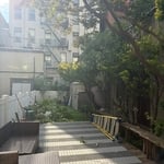 Backyard IN PROGRESS