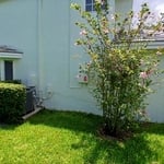 Davie exterior repaint