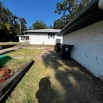 Yard clean up
