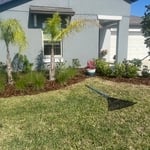 Garden bed cleanups!