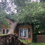 Storm Damage removal