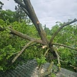 Storm Damage removal