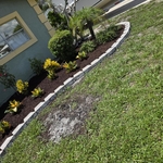 Landscape transformation