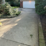 Driveway (Before)