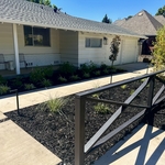 Front Yard Transformation