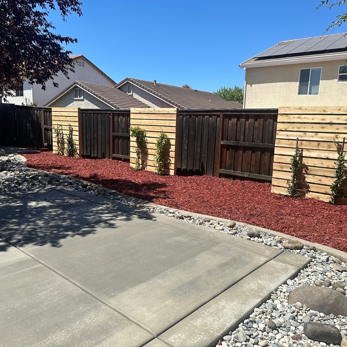 Backyard Transformation