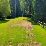 Start Of Project: Slit Seeding