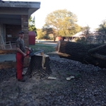 Me with my chainsaw after cutting tree down