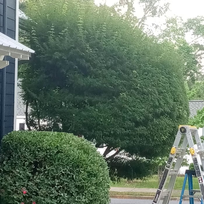 Additional Photos