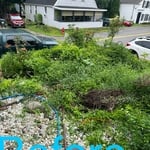 Landscaping Project