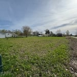 Yard regrade
