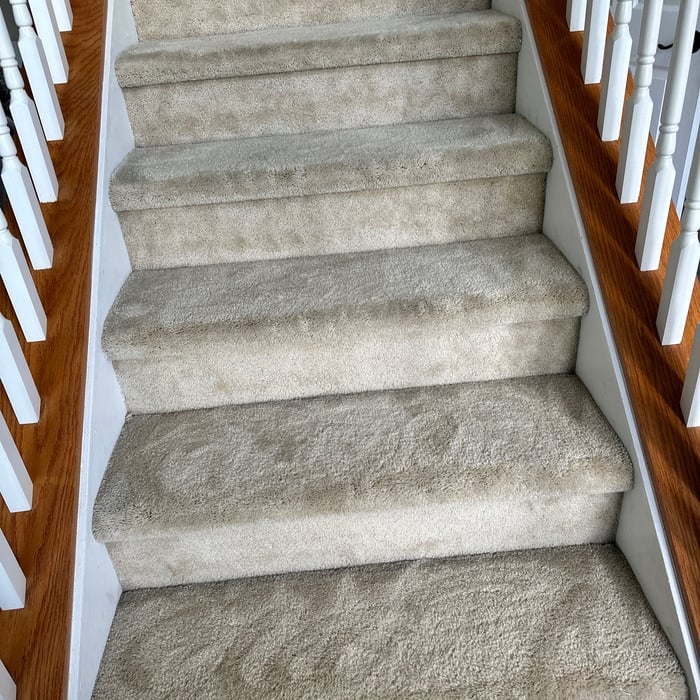 Carpet Cleaning Project