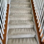 Carpet Cleaning Project