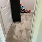 Carpet Cleaning Project