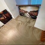 Carpet Cleaning Project