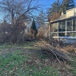 Backyard visual, rear of house. Everything overgrown. Before