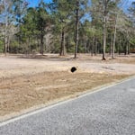 Paving
