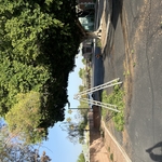 Tree trimming