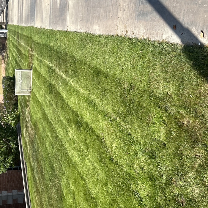 Lawn maintenance
