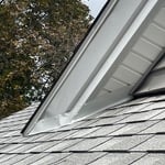 Metal exclusion work