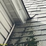 Metal exclusion work