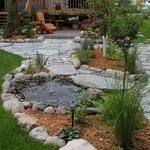 Pond