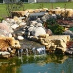 Upper Basin