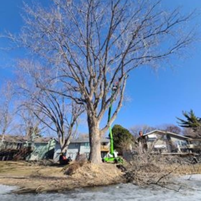 Additional Photos