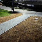 River Walk- Commercial Concrete Sidewalk