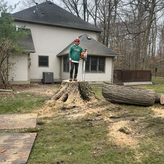 Additional Photos