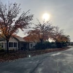 Tree Service Project