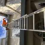 Tree Service Project