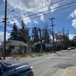 Tree Service Project
