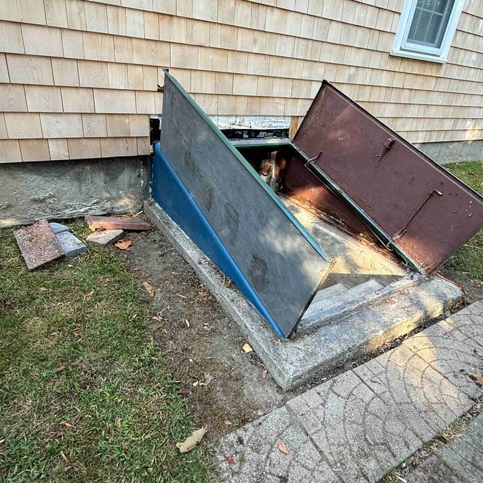 Celar doors