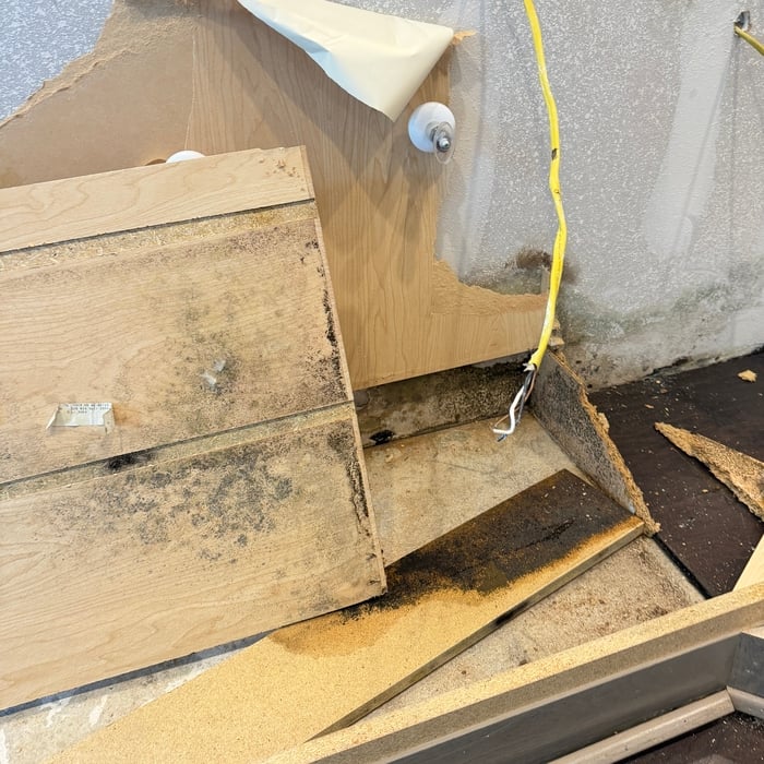 Mold