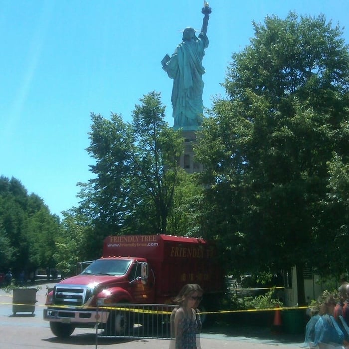tught shot of crews rear base of statue of liberty removing a fallen tree