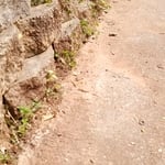 Dirty Driveway