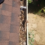 Dirty Gutters. Full of debris