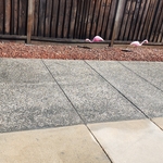 Concrete Pouring and Repair Project