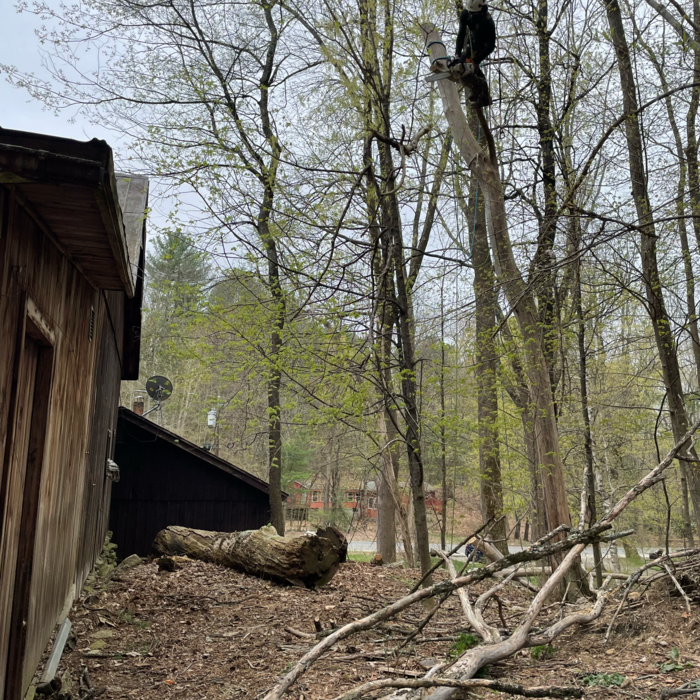 Additional Photos