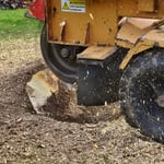 Tree Services