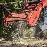 Tree Services