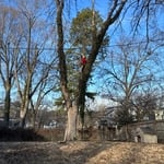 Tree Service Project
