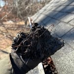 Clogged gutters