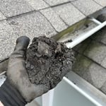 Gutter Cleaning Project