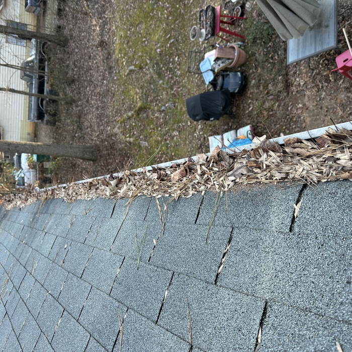Gutter Cleaning Project